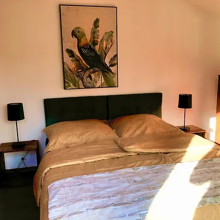 Dom Letniskowy Dorota Vakantiehuis *