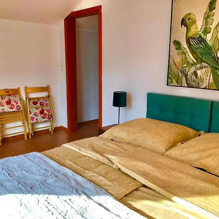 Feriehus Dom Letniskowy Dorota