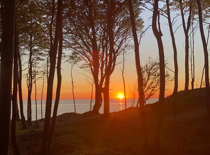 Dom Letniskowy Dorota Dom wakacyjny