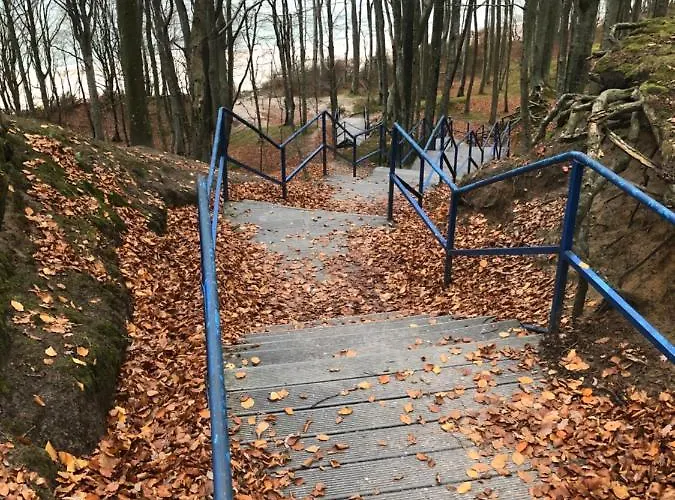 Dom Letniskowy Dorota Dom wakacyjny *