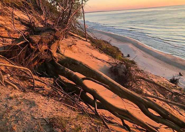 Dom Letniskowy Dorota Dom wakacyjny *