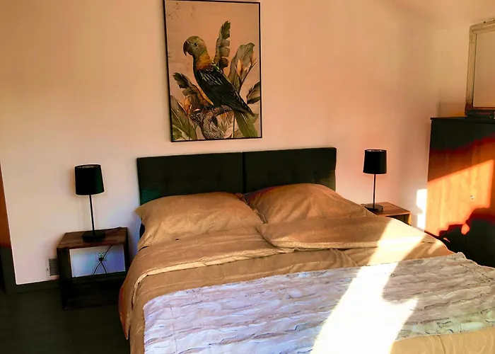 Dom Letniskowy Dorota Dom wakacyjny *