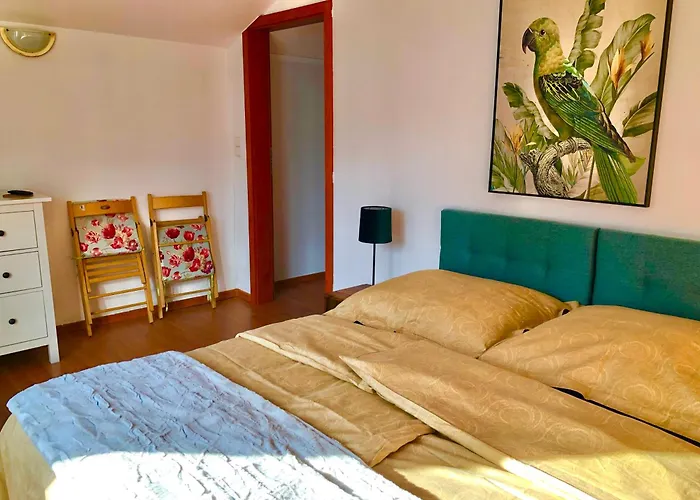 Dom wakacyjny Dom Letniskowy Dorota